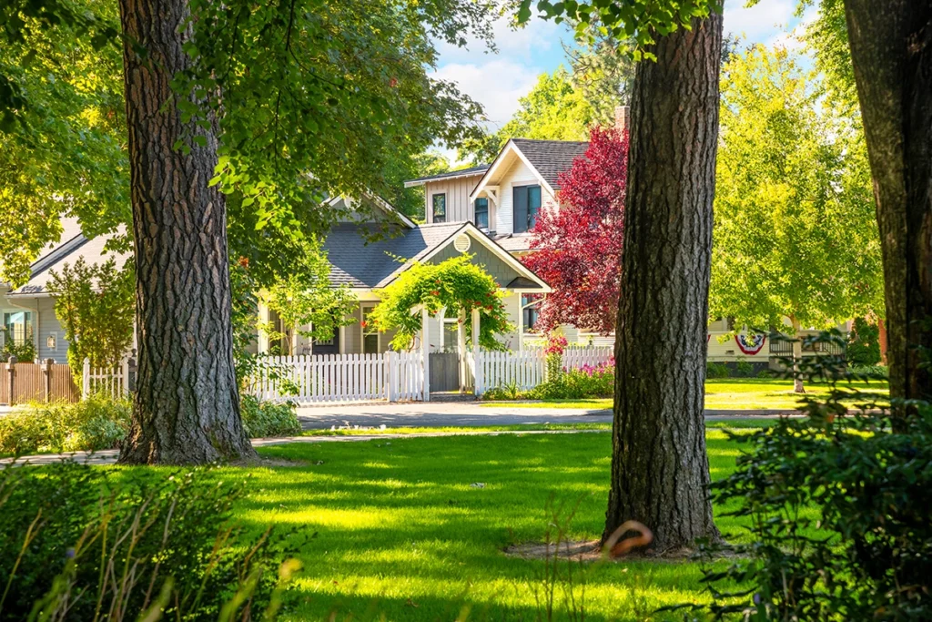 Shaded Tyler home surrounded by mature trees, illustrating how to keep your house cool in summer.